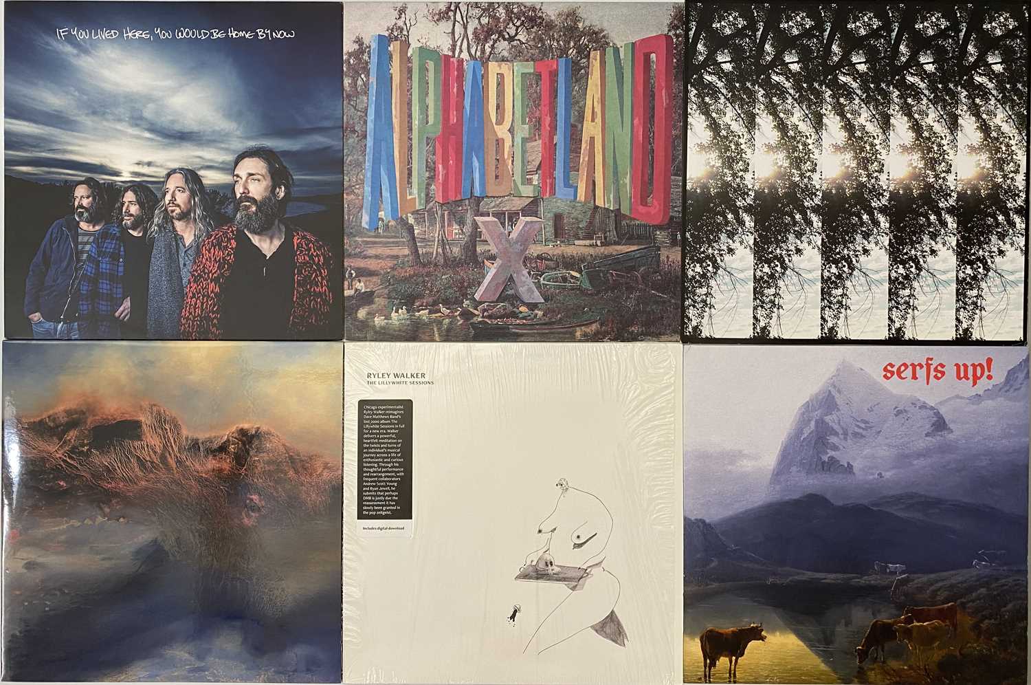 Lot 67 - ALTERNATIVE - ROCK - PUNK - NEO PSYCH - LP COLLECTION - PONTIAK, CRB, X, ETERNAL TAPESTRY