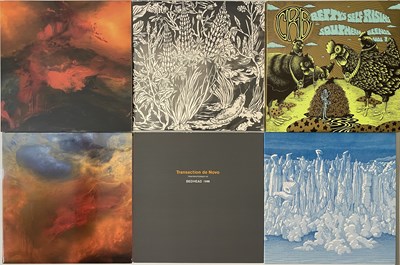 Lot 67 - ALTERNATIVE - ROCK - PUNK - NEO PSYCH - LP COLLECTION - PONTIAK, CRB, X, ETERNAL TAPESTRY