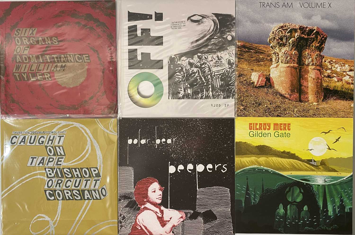 Lot 68 - ALTERNATIVE - ROCK - NEO PSYCH - LP COLLECTION - TRANS AM, TREMBLING BELLS, GILROY MERE