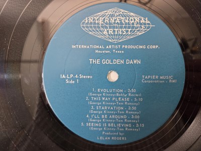 Lot 76 - THE GOLDEN DAWN - POWER PLANT (IA-LP-4)