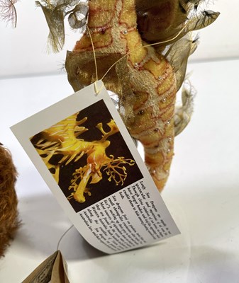 Lot 29 - LORIS HANCOCK BEARS PACK