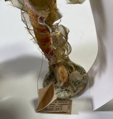 Lot 29 - LORIS HANCOCK BEARS PACK