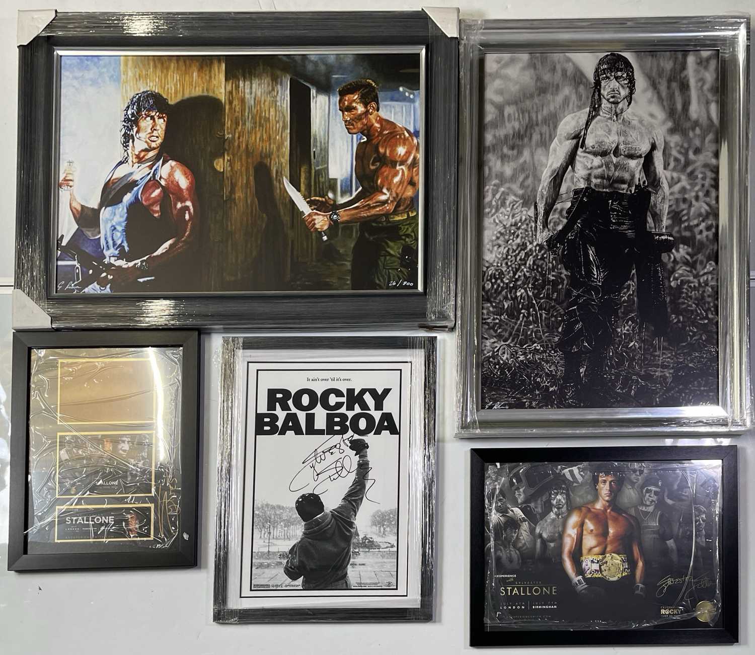 Lot 119 - FILM - SYLVESTER STALLONE SIGNED MEMORABILIA COLLECTION - MANY IN-PERSON SIGNED ITEMS.