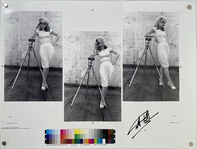 Lot 43 - MARTYN GODDARD - BLONDIE IN CAMERA - THREE MARYTN GODDARD PROOF BOOK PAGES, SIGNED.