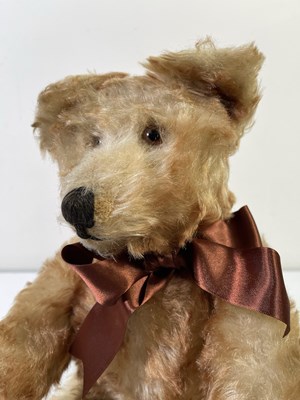 Lot 87 - TWO BEARS - TWO SCHUCO AND A POSSIBLE SCHUCO