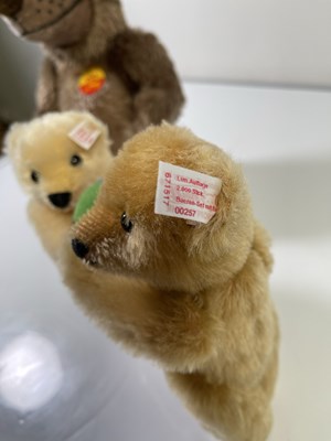 Lot 101 - PACK OF TWO STEIFF BEARS