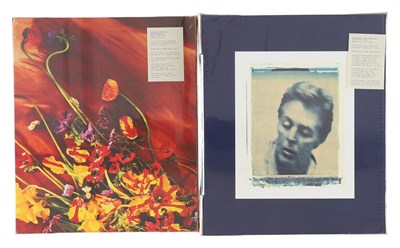 Lot 12 - PAUL MCCARTNEY FLAMING PIE AND FLOWERS IN THE DIRT BOX SETS