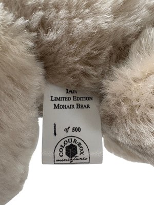 Lot 23 - THREE COLOUR BOX BEARS